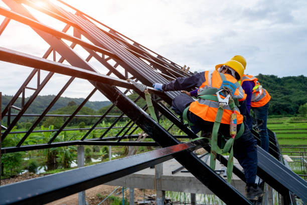 Roof Gutter Cleaning in Trezevant, TN