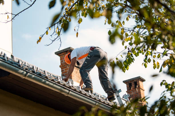 Best New Roof Installation  in Trezevant, TN