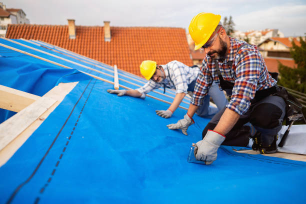 Best Flat Roof Repair Services  in Trezevant, TN