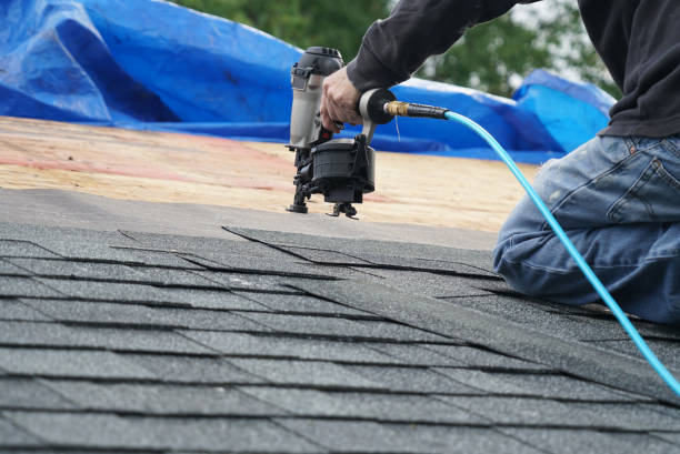 Best Best Roofing Contractors  in Trezevant, TN