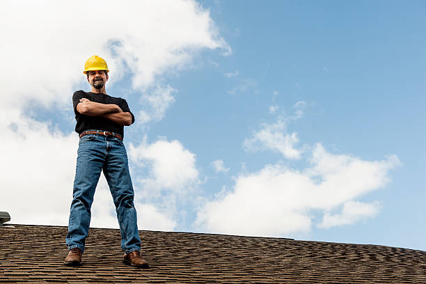 Best Shingle Roofing Installation  in Trezevant, TN