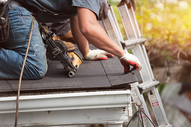 Best Roof Leak Repair  in Trezevant, TN